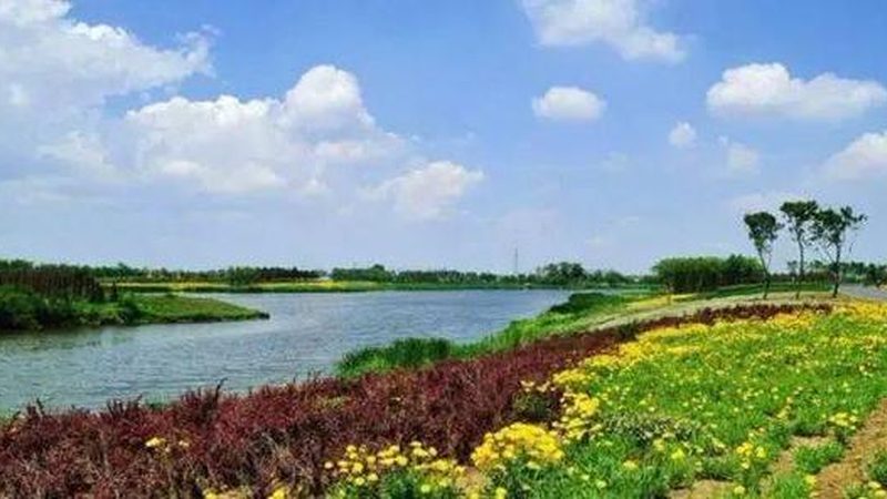 粮食种植深加工：揭秘项目优劣关键因素