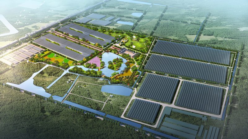 中小型农业企业如何构建高效产业链
