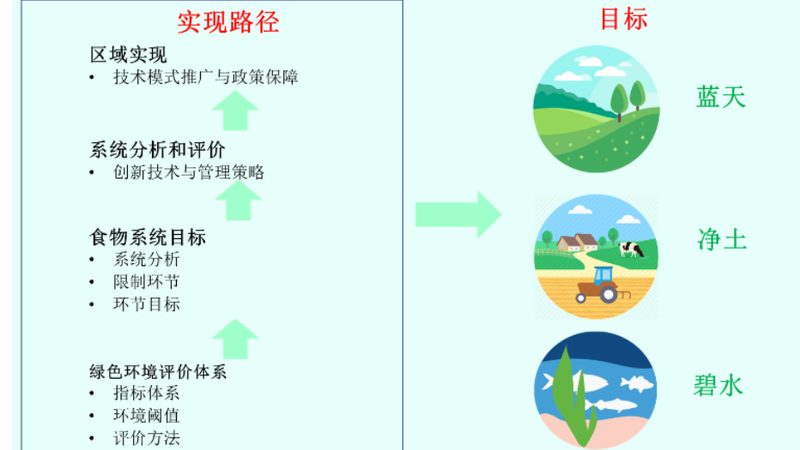 有机蔬菜与普通蔬菜：安全性的深层解析