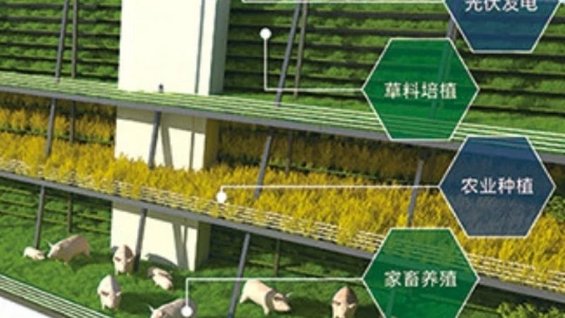 农村种粮成本解析：一亩地成本构成揭秘**