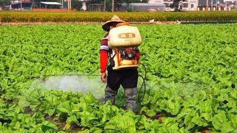 四川农资批发，如何选择优质供应商？**
